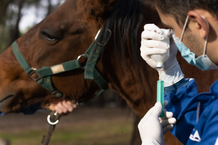 OBP addresses animal vaccine shortages