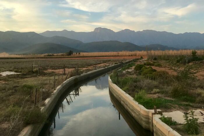 Agri SA and DWS discuss water license regulations